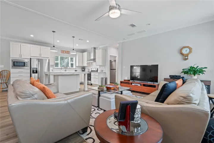 Living room / kitchen