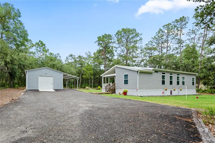 Driveway View