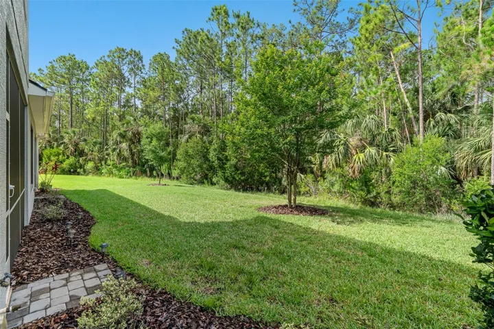 Backyard to Deep Preserve