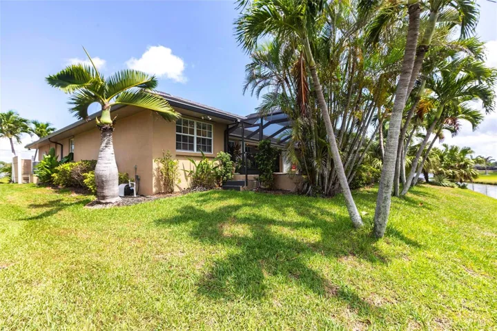 Mature tropical landscaping