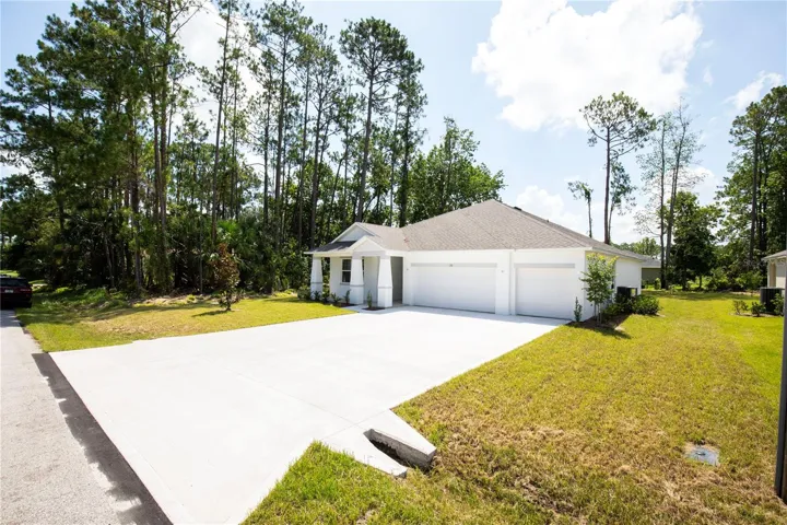 Landscaping and lots of Trees
