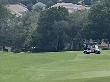 golf courses