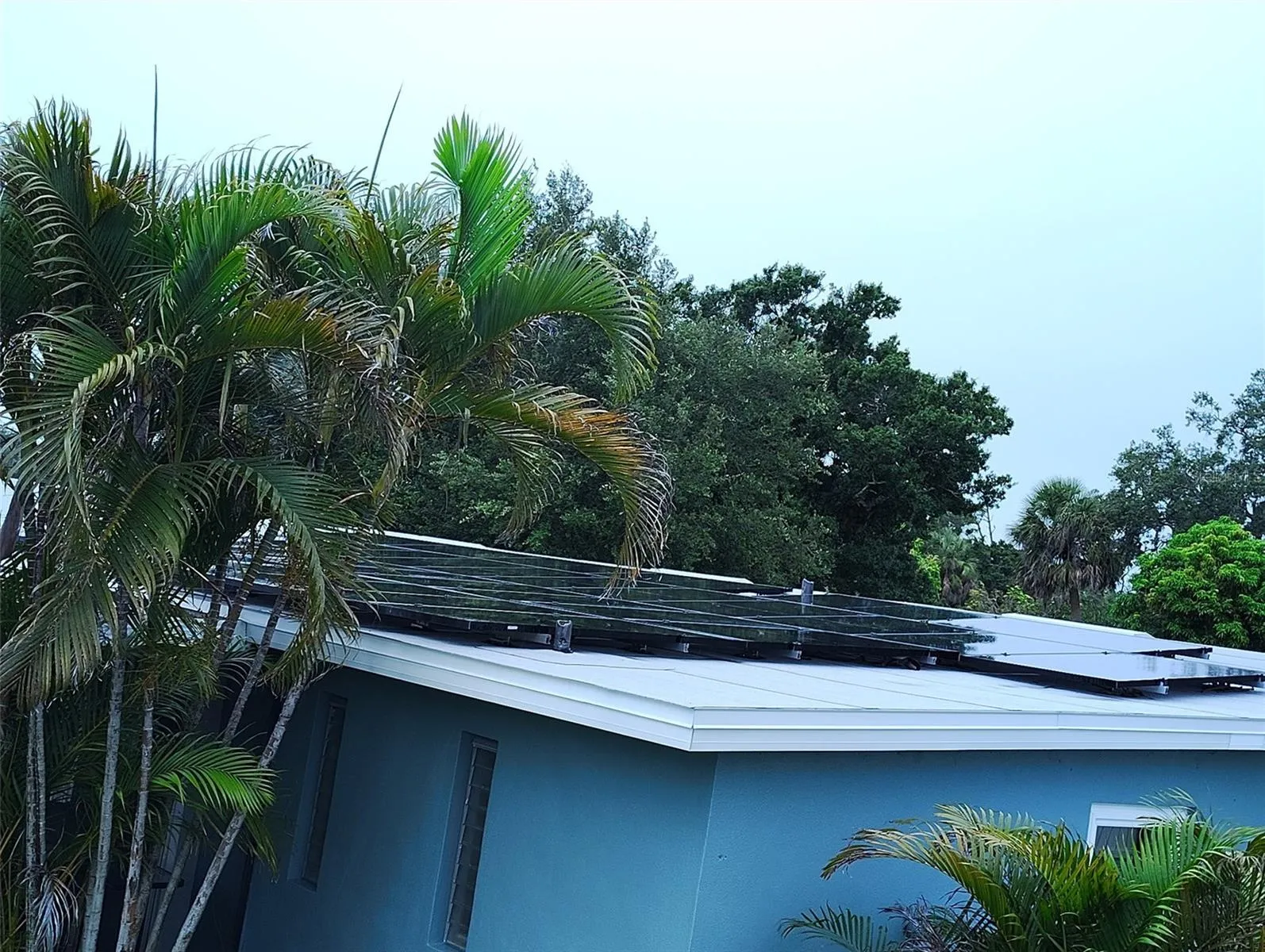 Solar Panels for electricity
