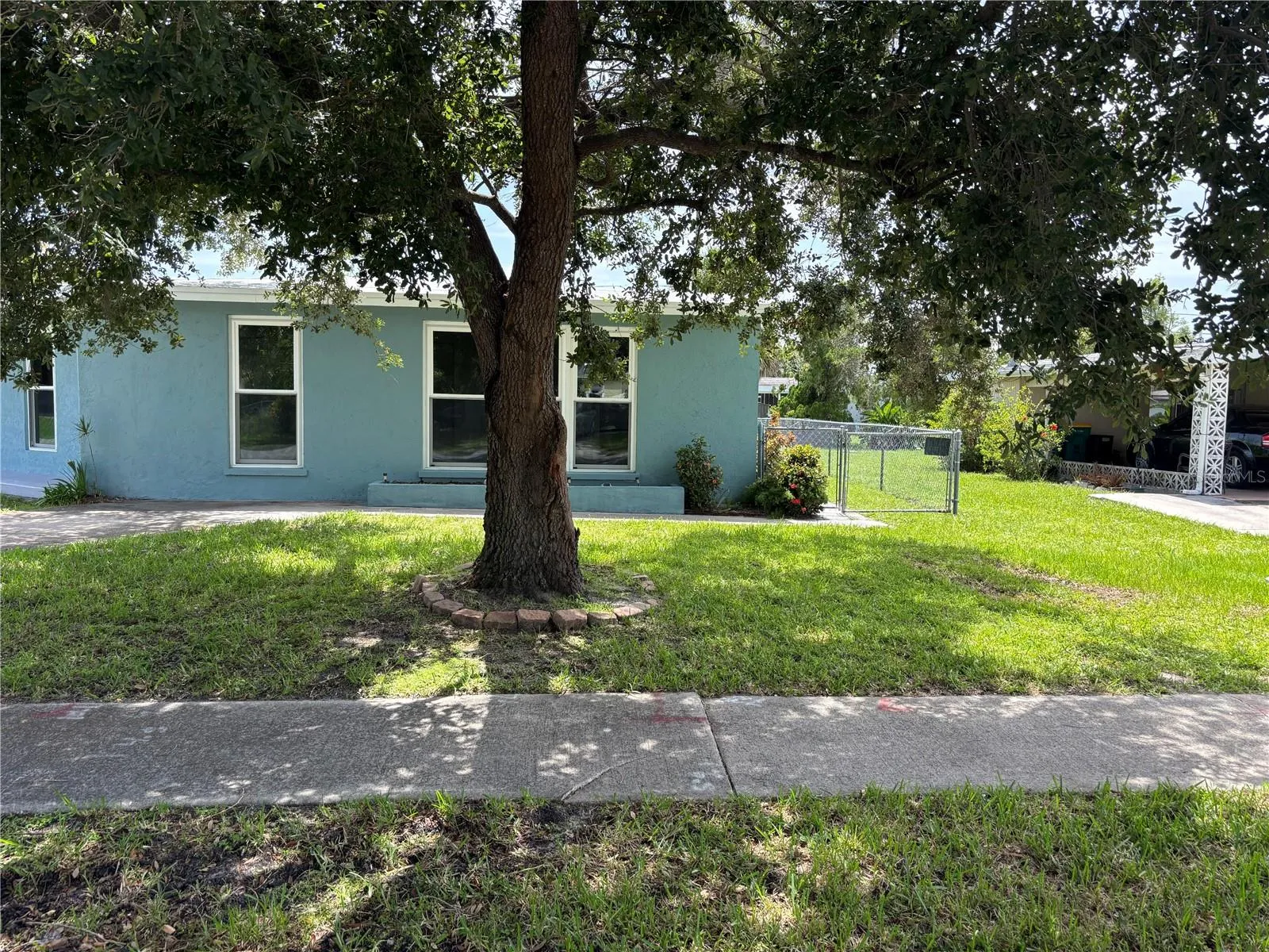from the street under nice tree in yard