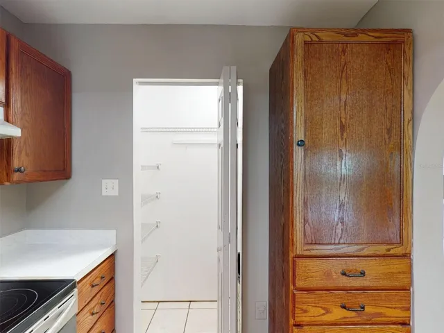 walk in pantry in kitchen