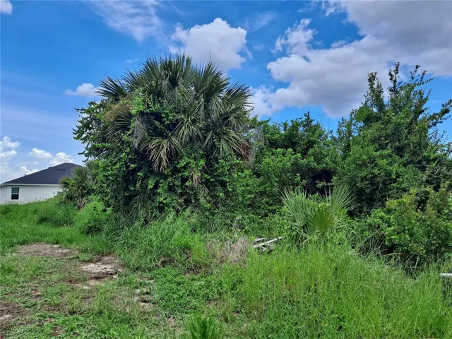 Central located multifamily zoned lot