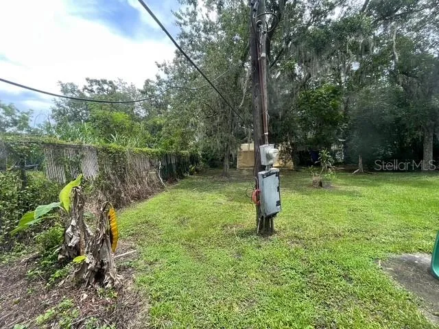 Backyard