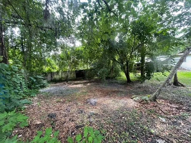 Backyard