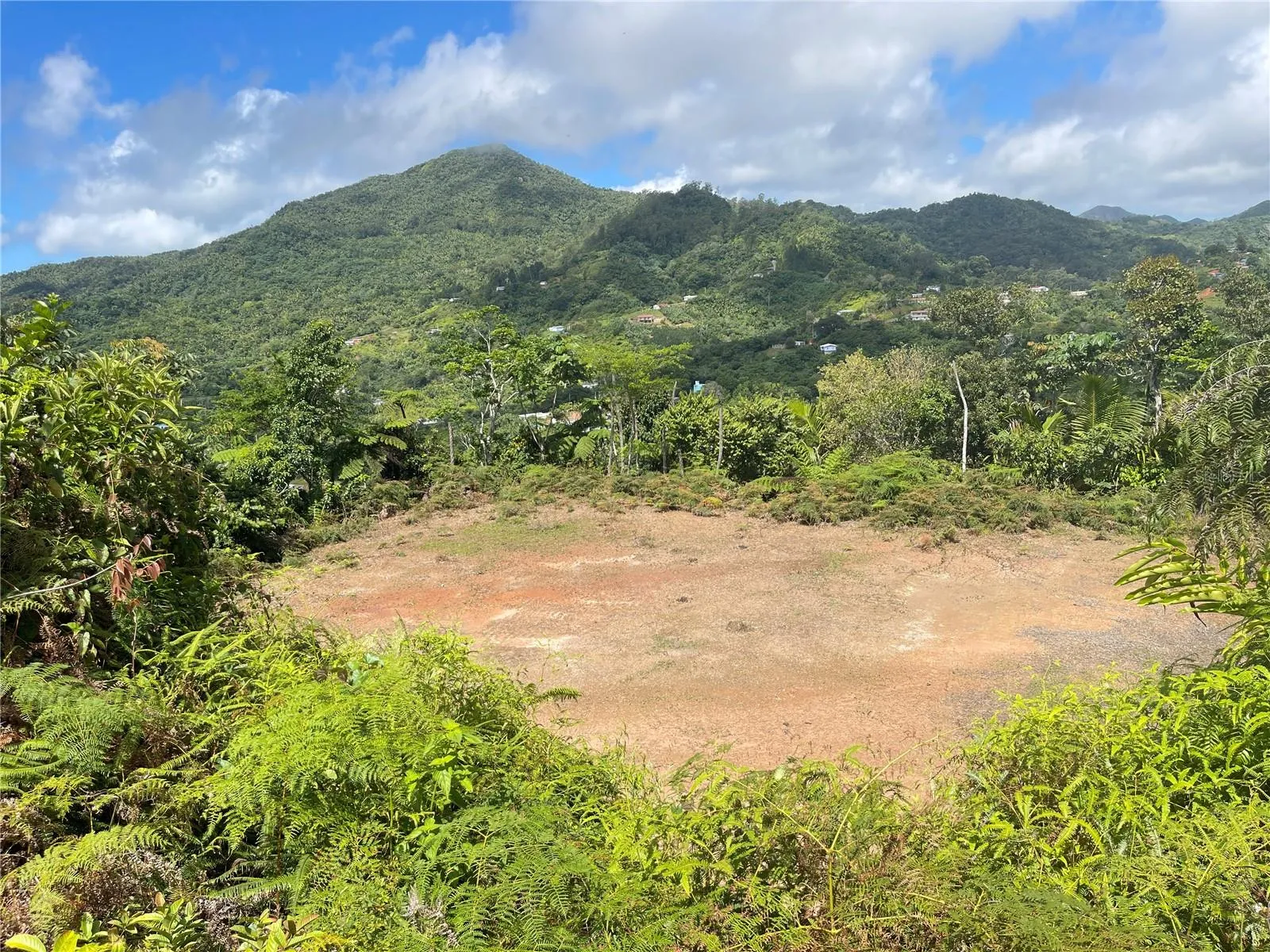 Area to develop