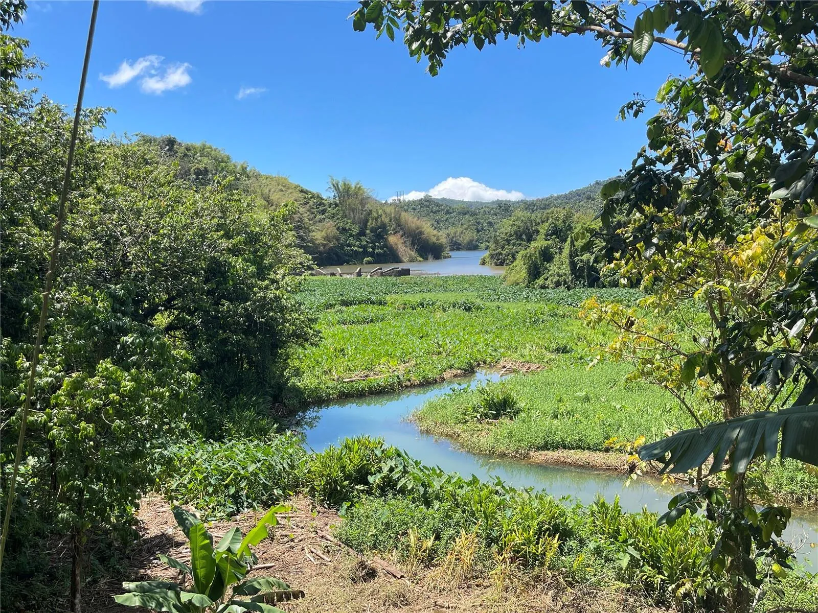 View of Lake Garzas