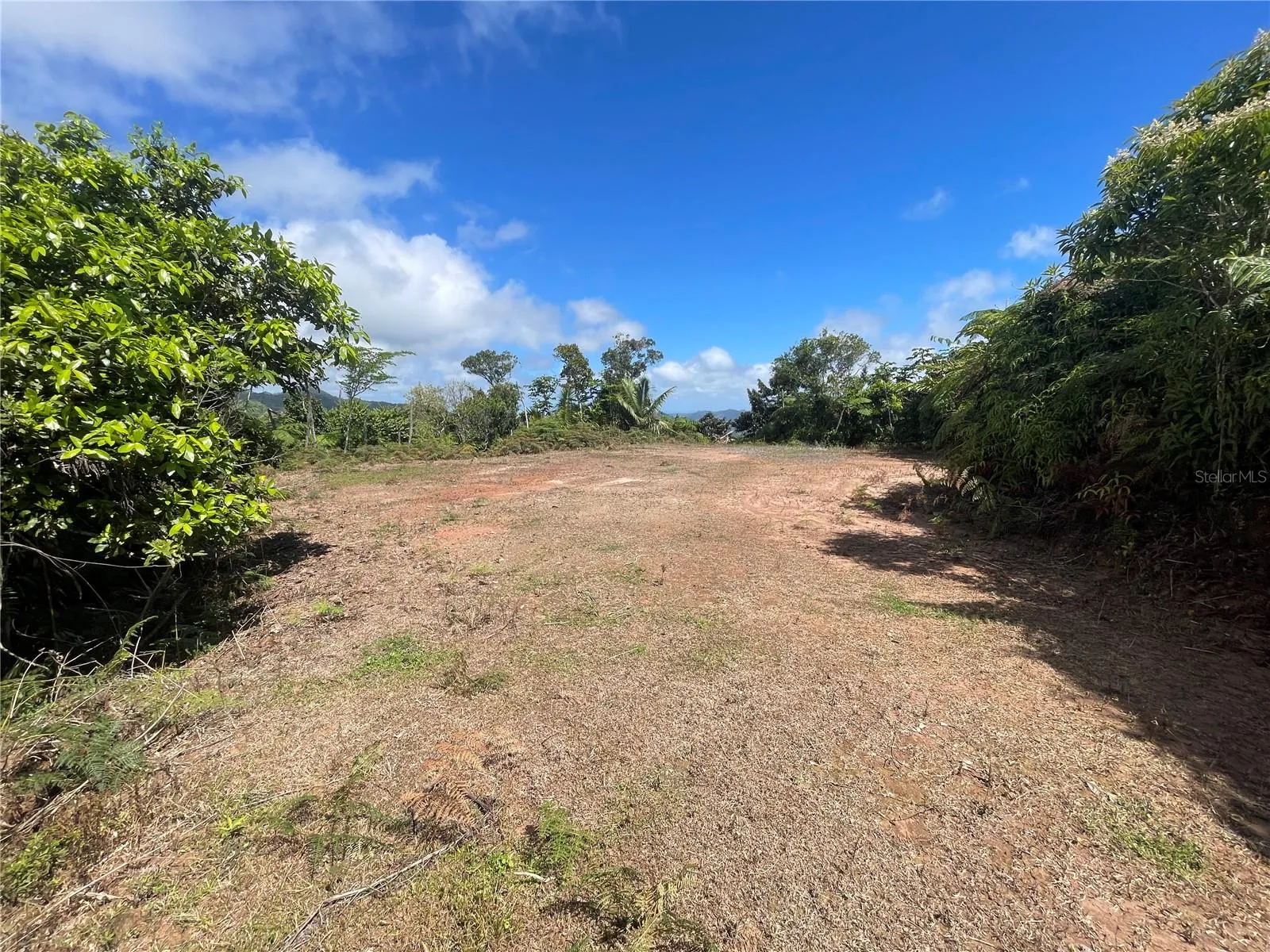 Area to develop