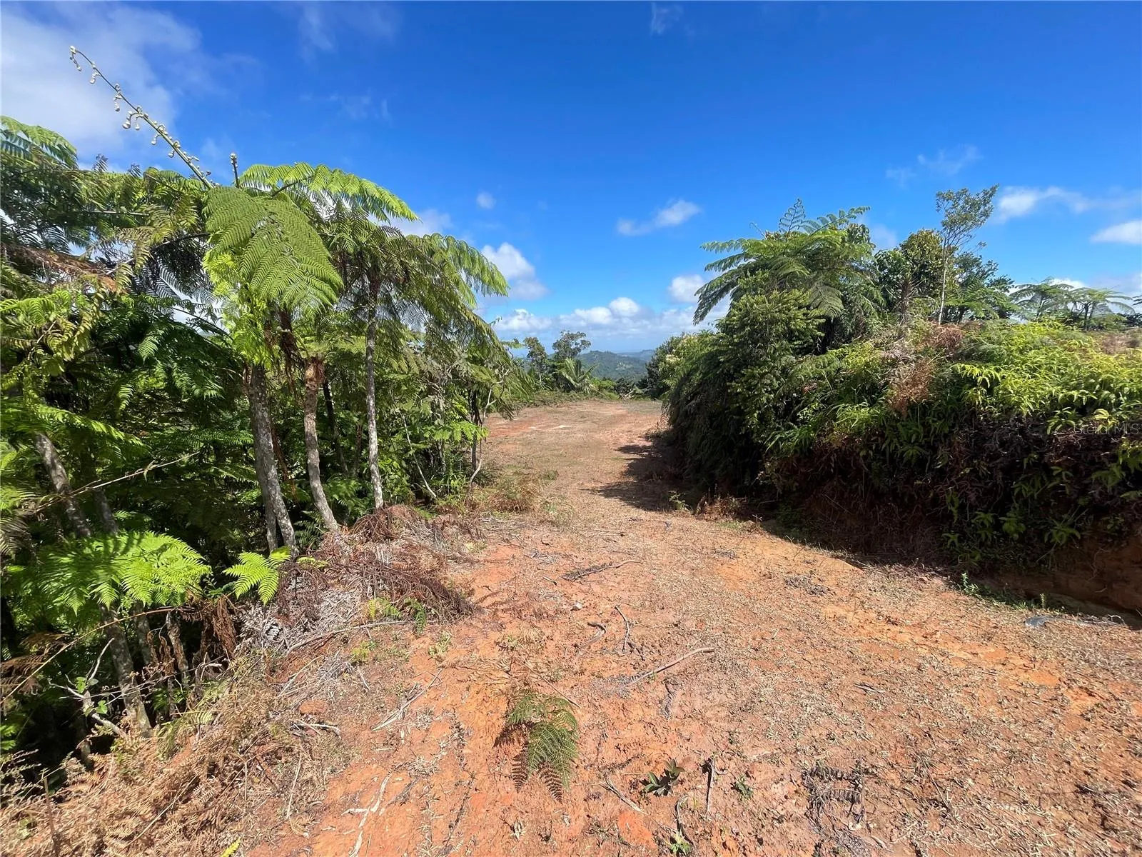 Area to develop