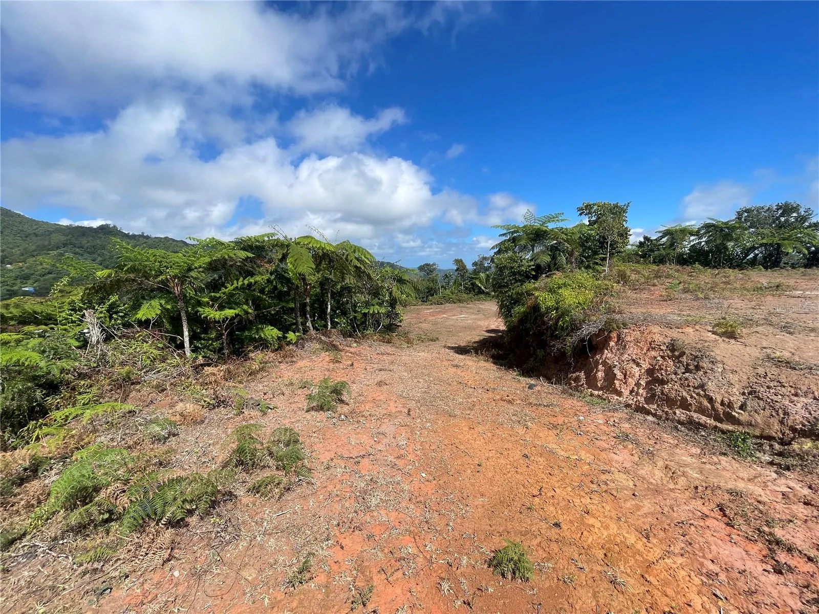 Area to develop