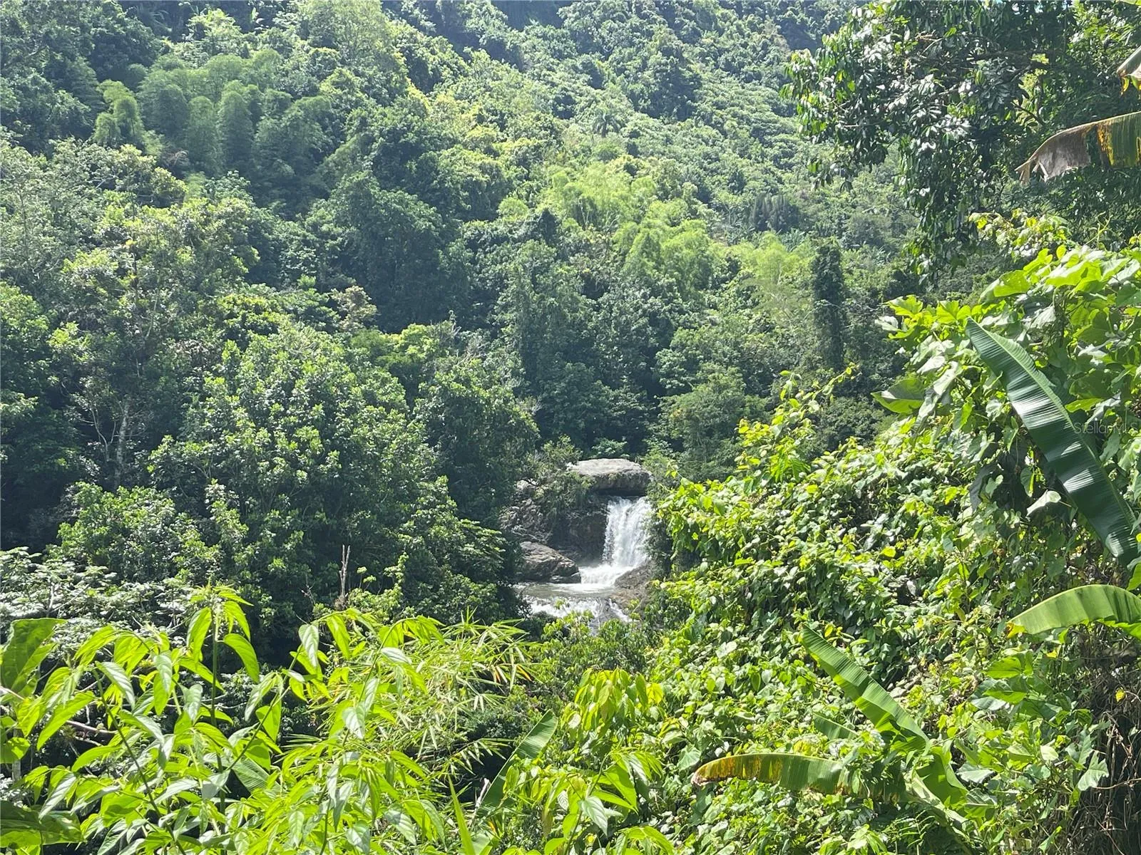 Waterfall nearby