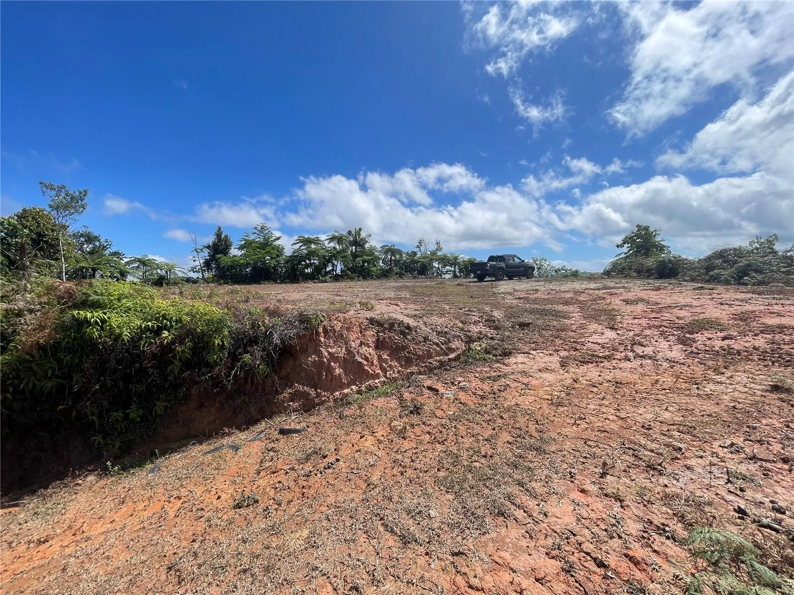 Area to develop