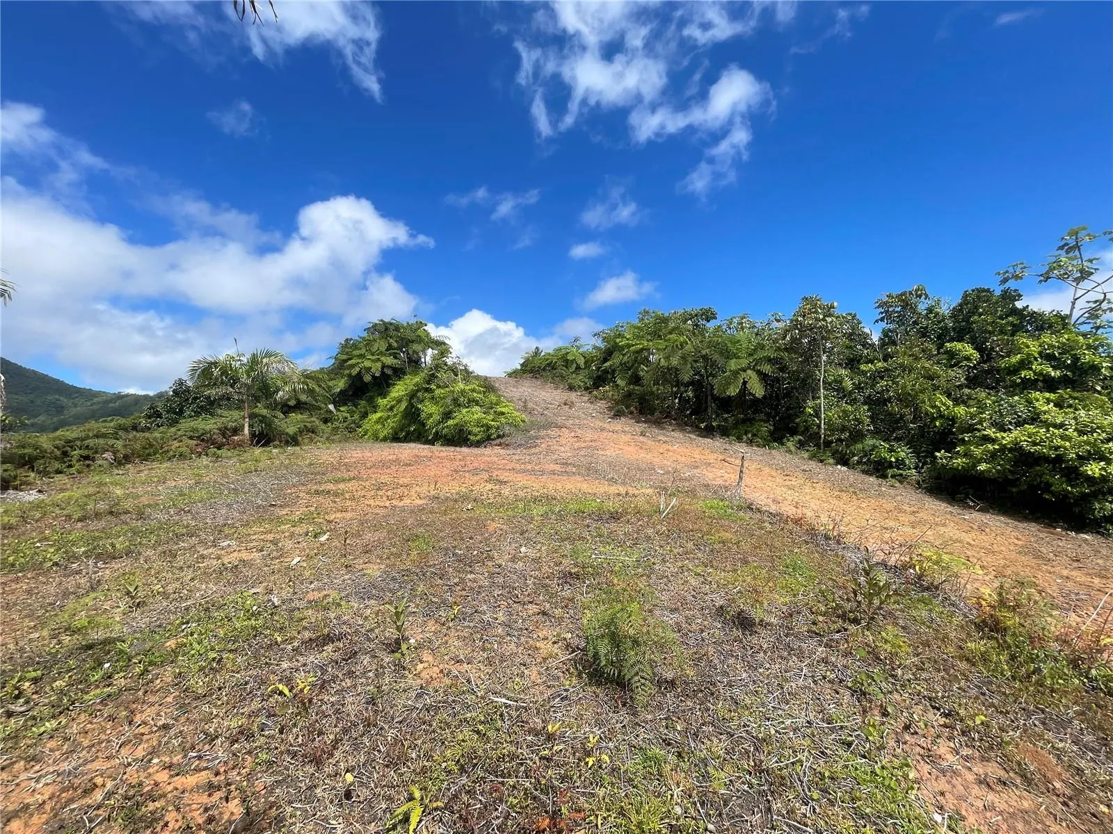 Area to develop