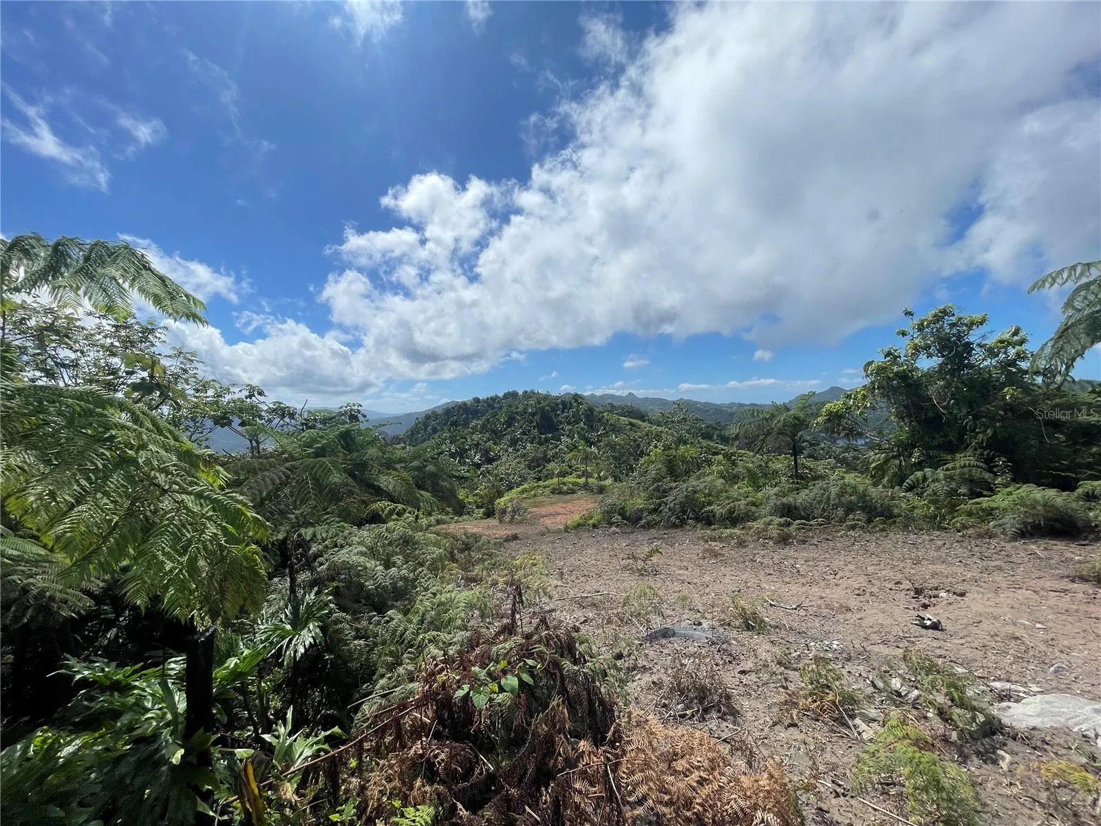 Area to develop