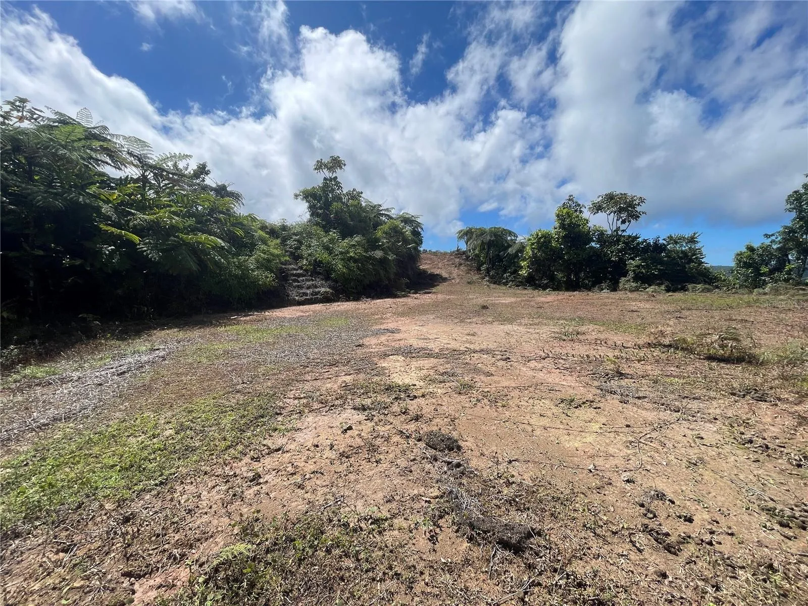 Area to develop