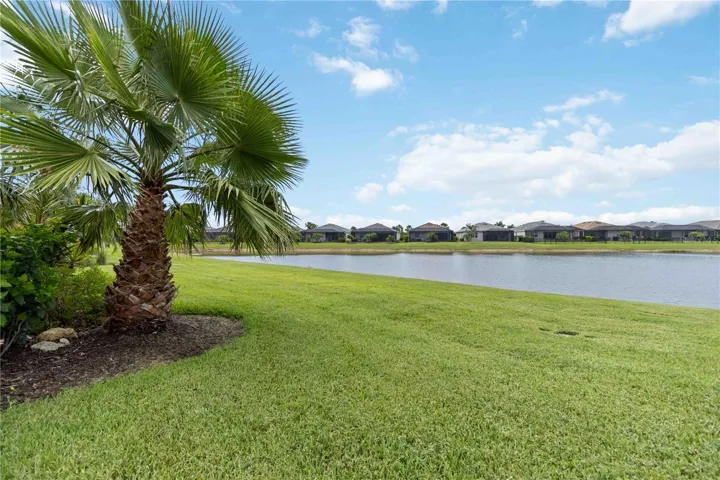 lake view