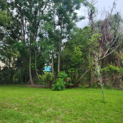 Beautiful Huge Backyard