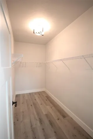 Main Bathroom Closet