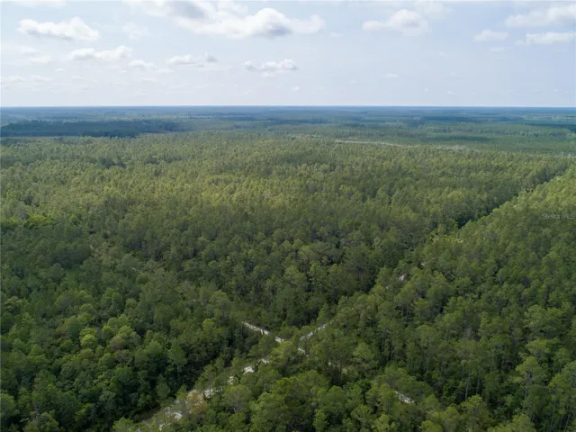 Donna St, Hastings, Florida 32145, ,Land,For Sale,DONNA,A4656975