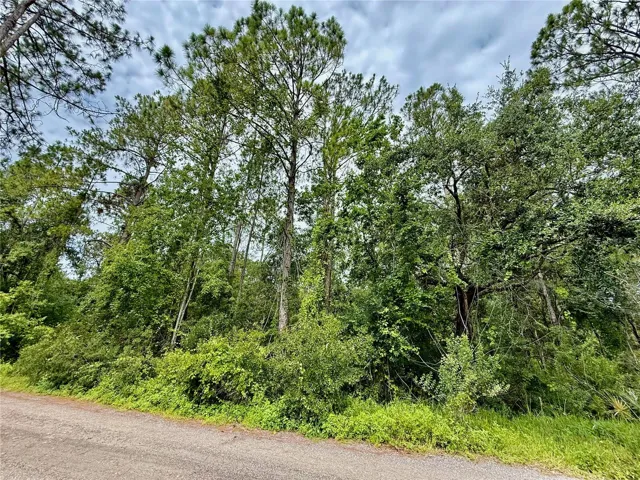 Westpoint Dr #lot#474, Wesley Chapel, Florida 33544, ,Land,For Sale,WESTPOINT,A4657322