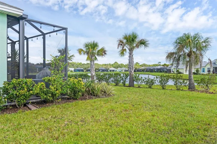 Pond view