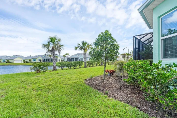 Pond view