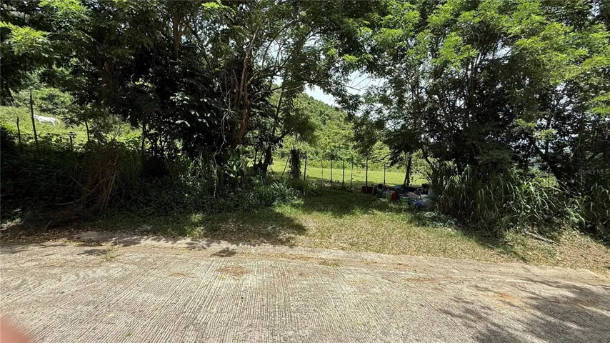 View of the property entrance, surrounded by vegetation, providing private and peaceful access. The access road is wide, allowing for easy and safe entry.Vista de la entrada de la propiedad, rodeada de vegetación, proporcionando un acceso privado y tranquilo. La carretera de acceso es amplia, lo que permite un ingreso fácil y seguro.