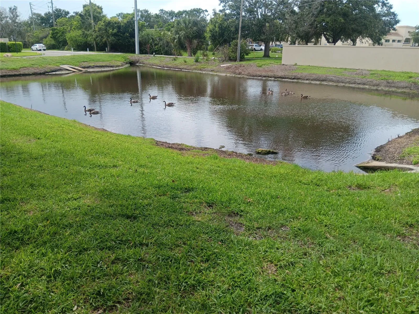 Across the street is a quiet pond.