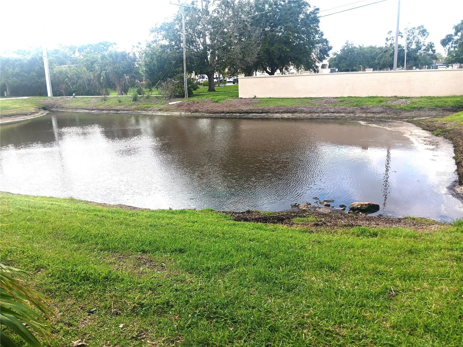 Can you see the ducks on the near side of the pond?