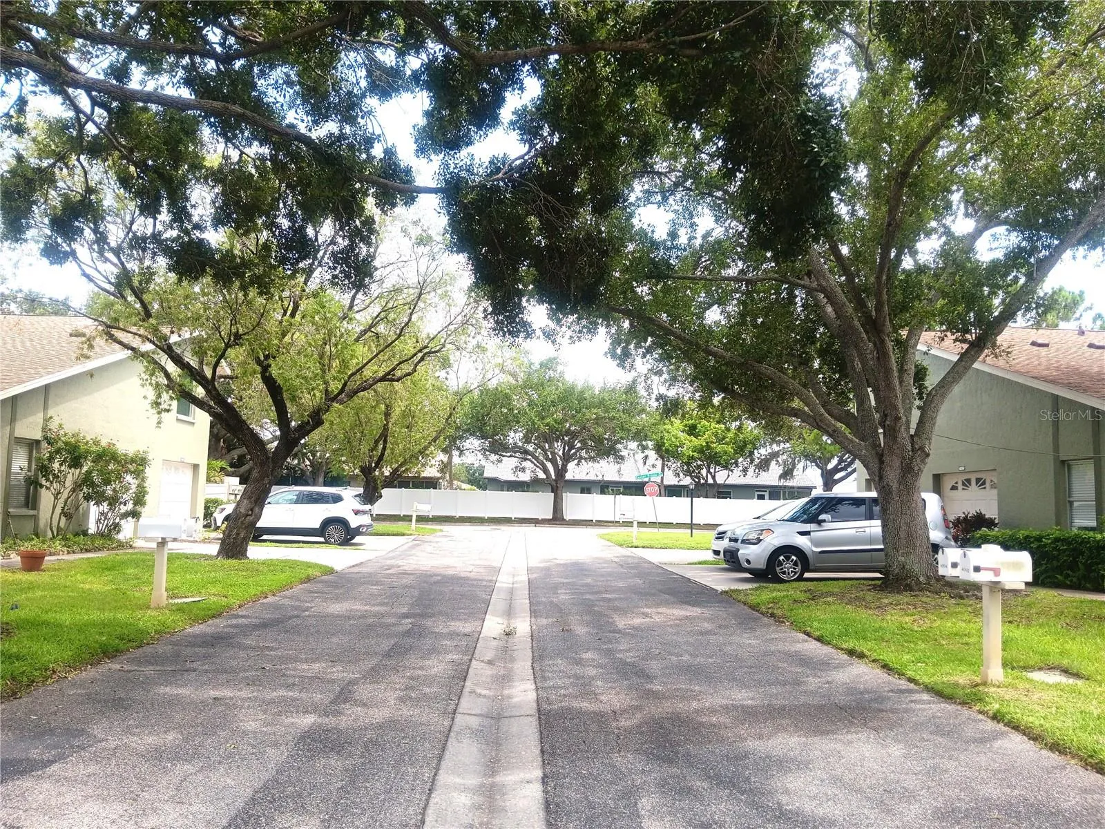 Down the street are beautiful trees.