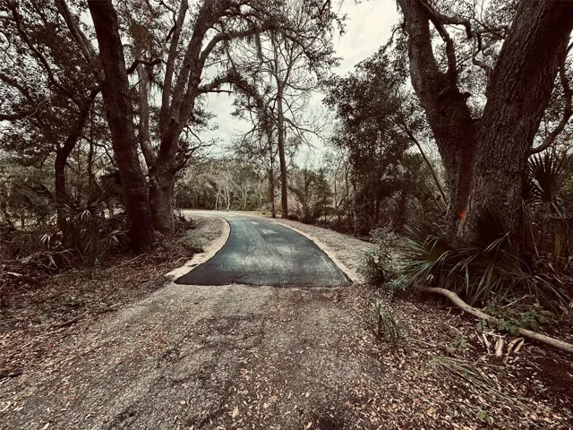 Standing on 4.2acres for sale, looking onto repaired driveway across 3 parcels
