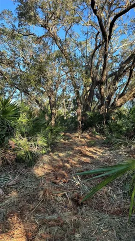 Natural Areas