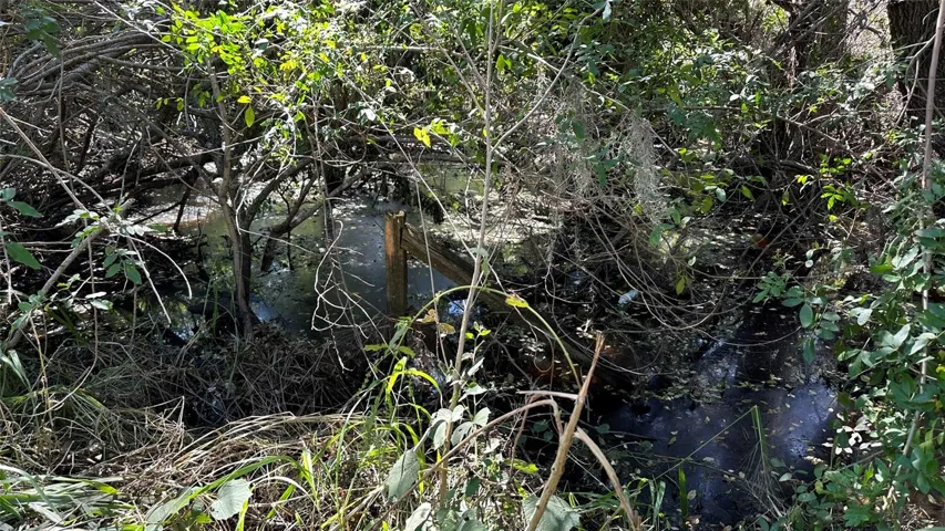 Surrounding parcels have developed year around ponds. The four acre parcel has two wet areas with potential.