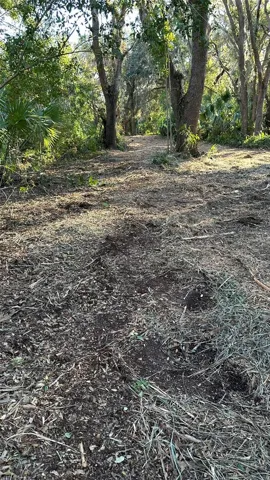 Partially cleared Pathways