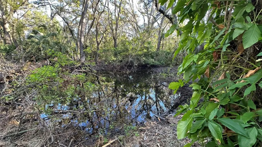 Smaller South Waterhole.