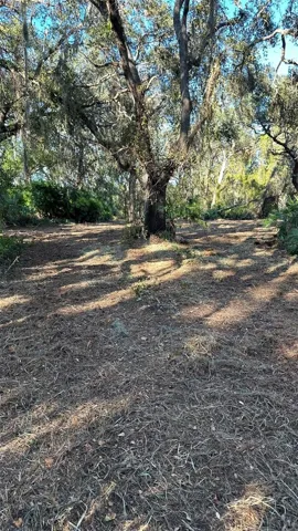 Cleared and Asphalt areas, see updated cleared photos.