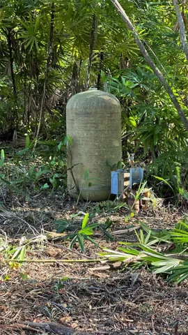 One Deep Well from previous home, condition unknown  since last use.