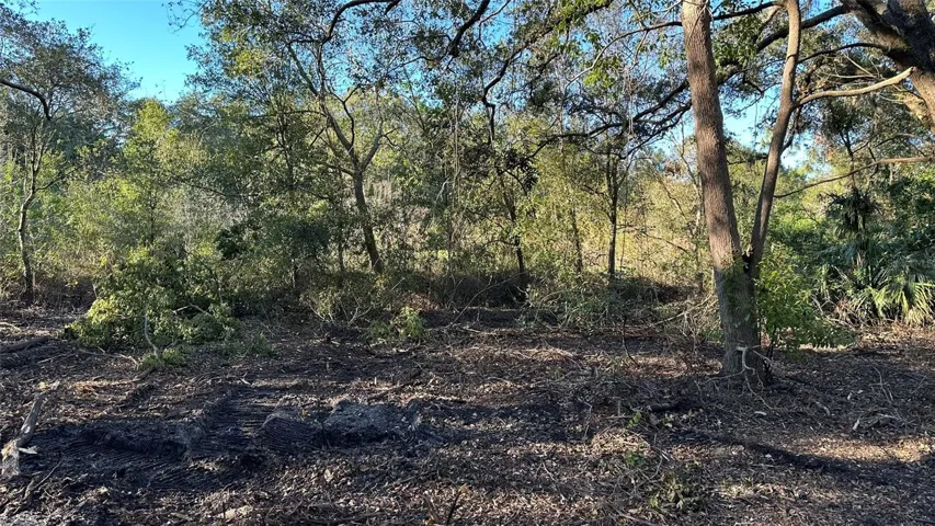 Looking West toward Neighbors Lot