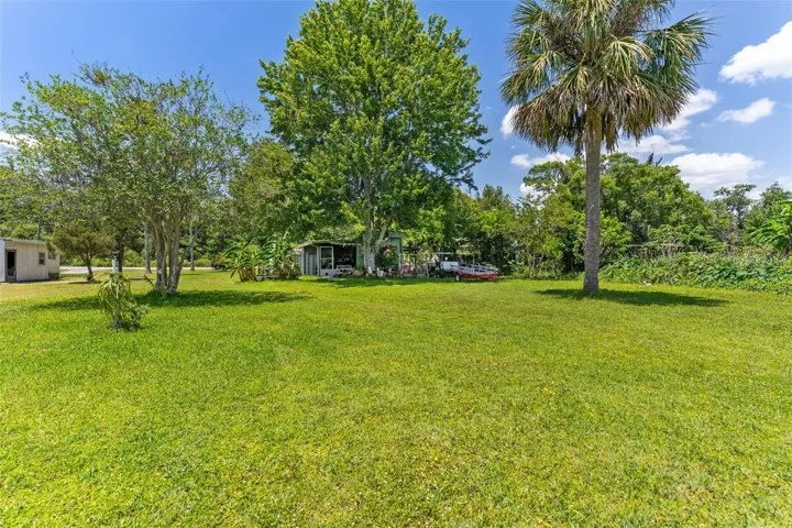 Big Yard!
