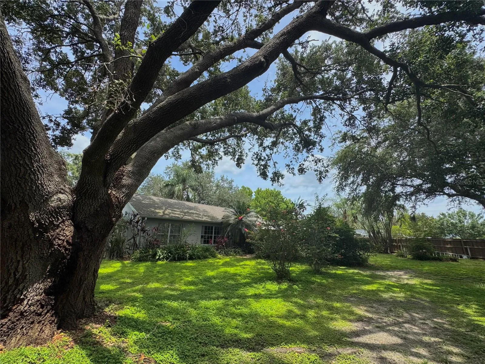 11252 Rosehill Dr, Clermont, Florida 34711, 3 Bedrooms Bedrooms, ,2 BathroomsBathrooms,Residential,For Sale,ROSEHILL,G5099118