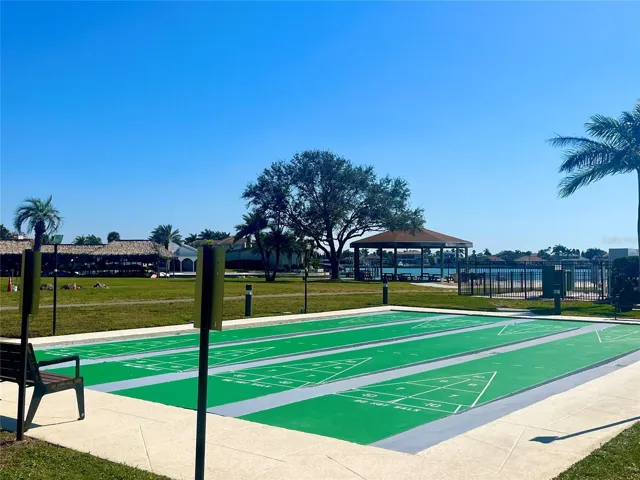 Shuffleboard anyone?