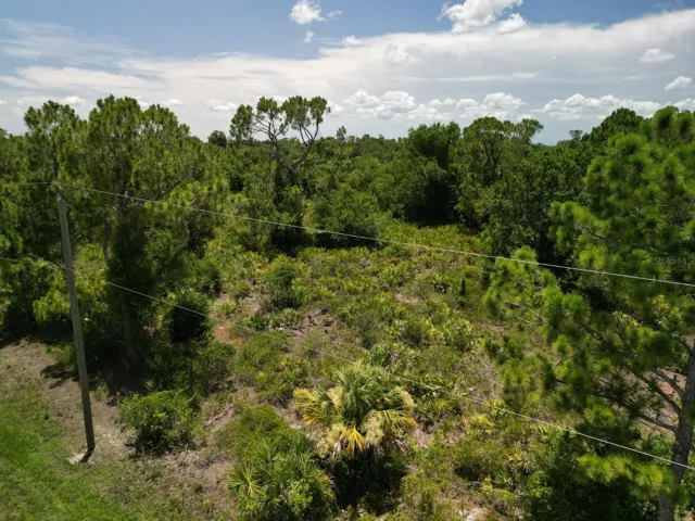 Roadside Front