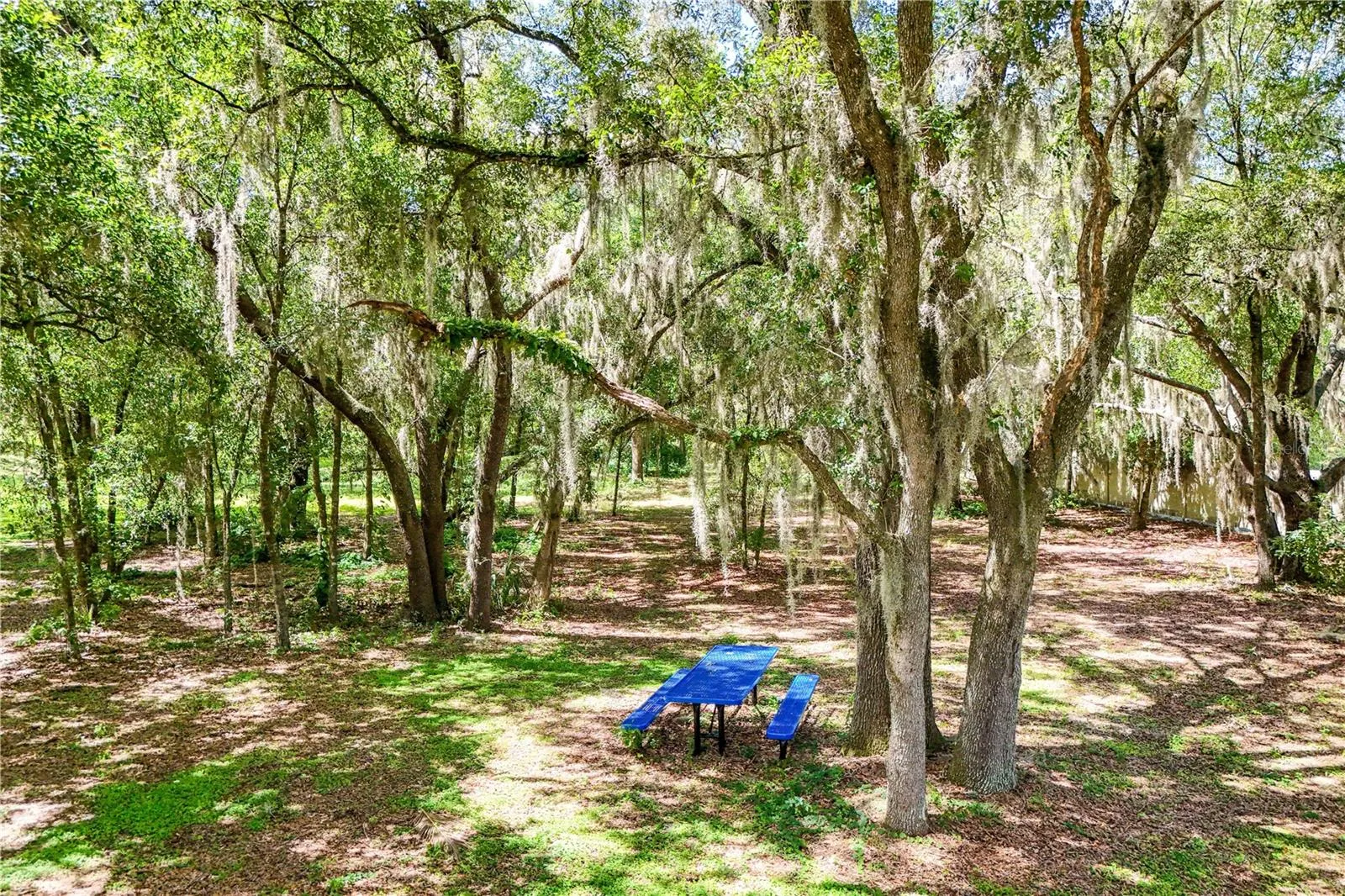 3241 Pinenut Dr, Apopka, Florida 32712, 6 Bedrooms Bedrooms, ,4 BathroomsBathrooms,Residential,For Sale,PINENUT,G5099141