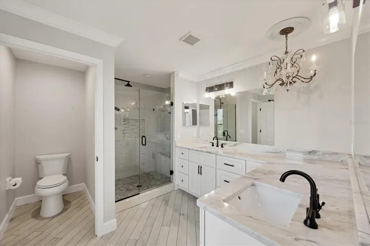 tranquil primary bath, separate water closet, dual sinks, frameless glass door on shower with built in sat