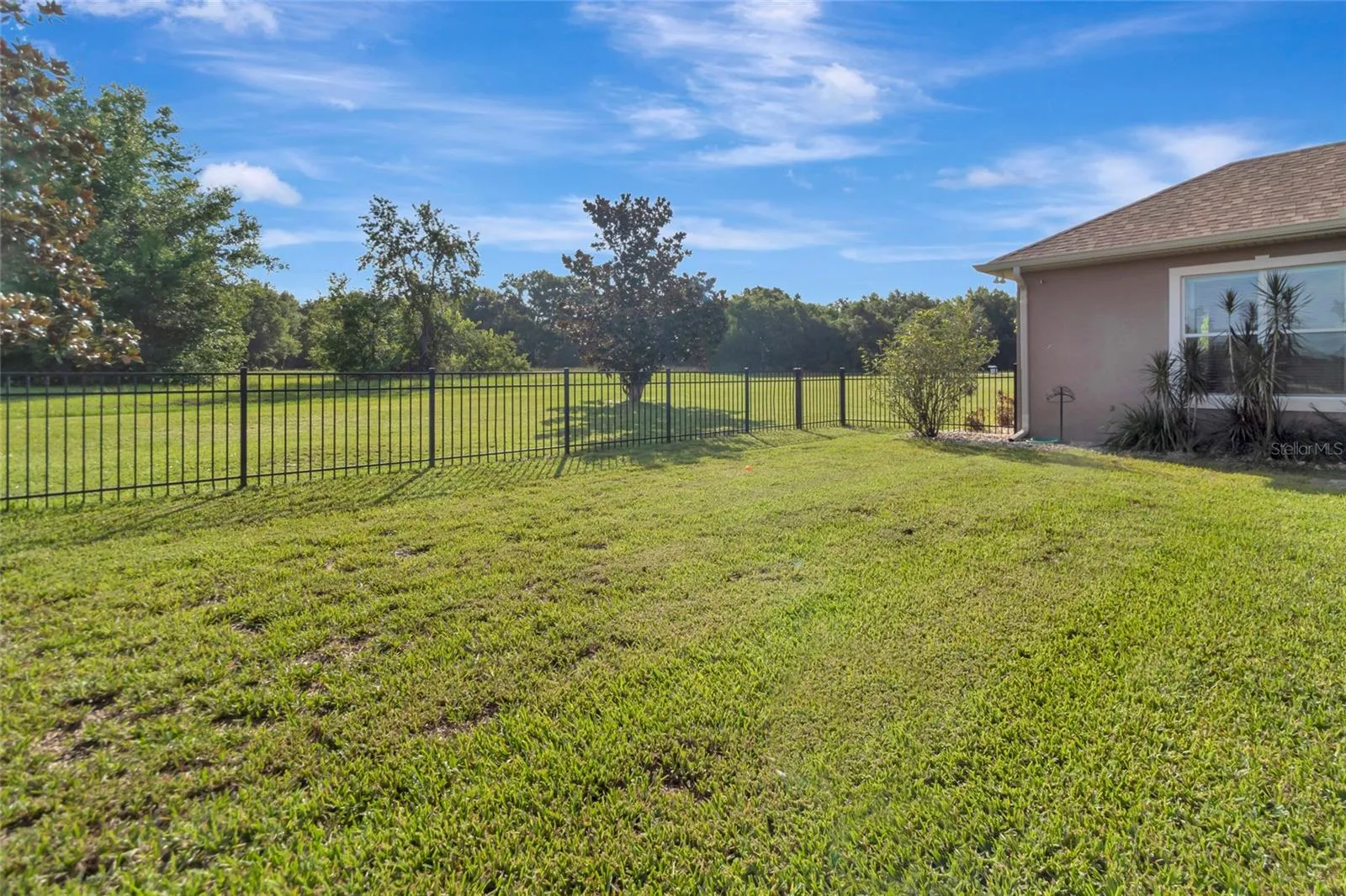 18139 Great Blue Heron Dr, Groveland, Florida 34736, 4 Bedrooms Bedrooms, ,4 BathroomsBathrooms,Residential,For Sale,GREAT BLUE HERON,G5099175