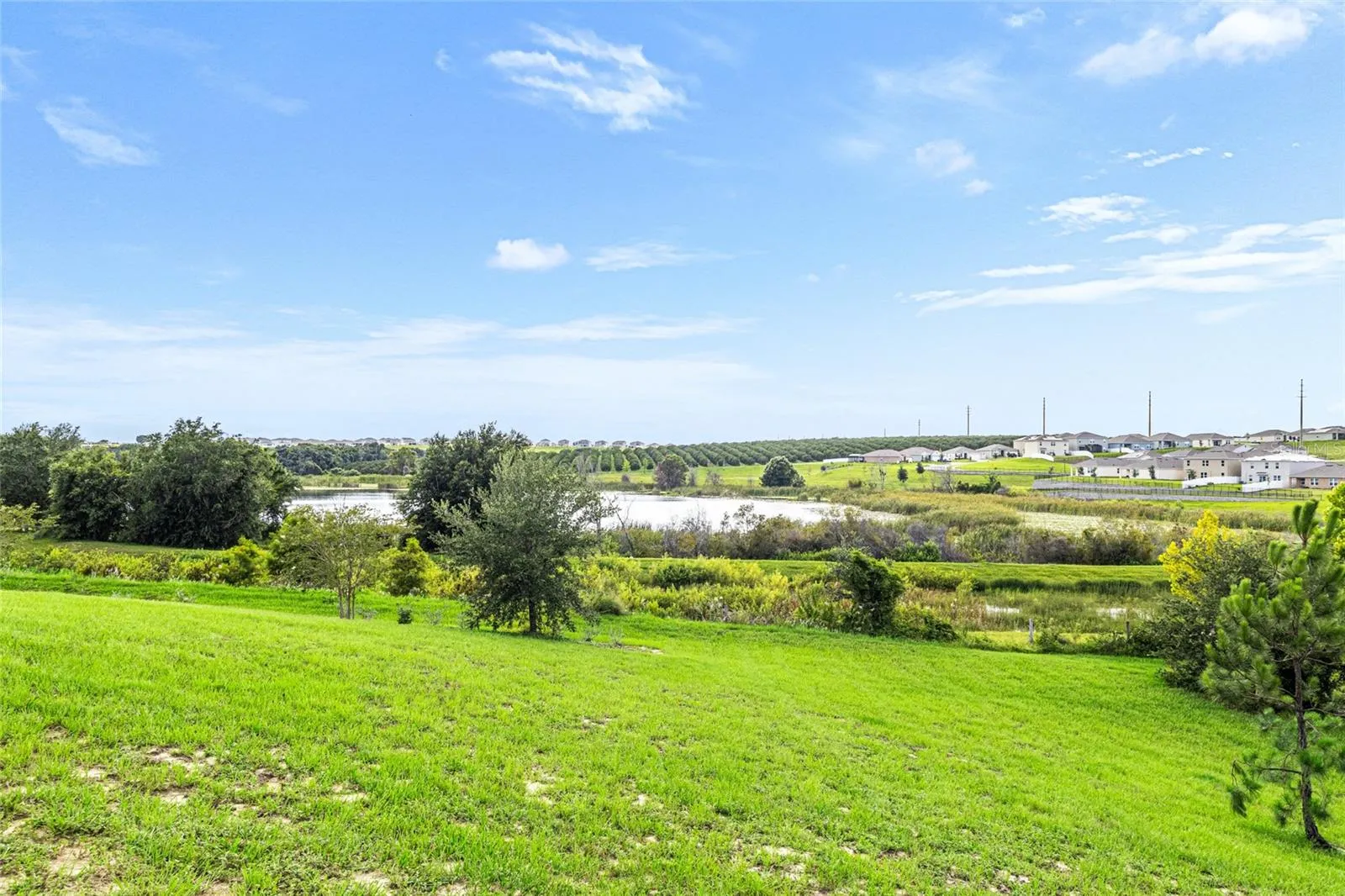 1668 Wilson Prairie Cir, Groveland, Florida 34736, 4 Bedrooms Bedrooms, ,2 BathroomsBathrooms,Residential,For Sale,WILSON PRAIRIE CIR,O6324074