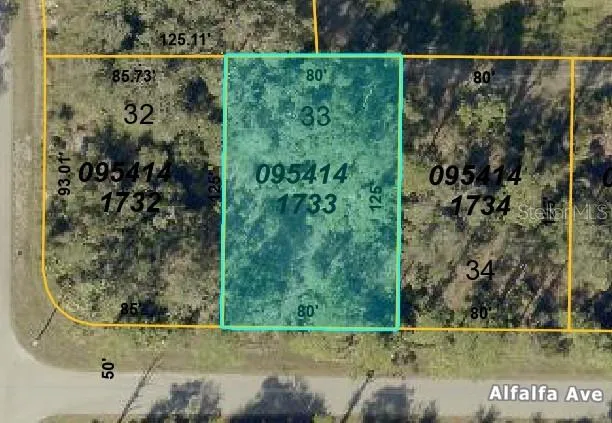 Alfalfa Ave, North Port, Florida 34291, ,Land,For Sale,ALFALFA,A4657895